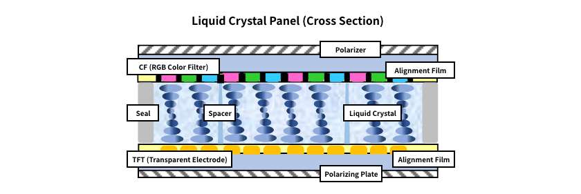 液晶パネル（断面）