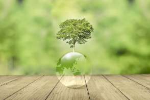 Environmental